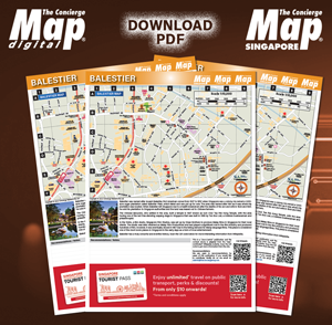 Download the Balestier PDF Map